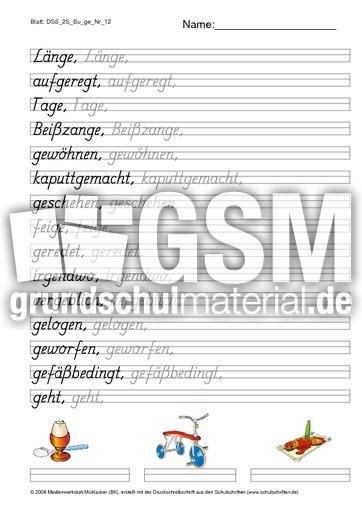 DSS_2S_Bu_ge_Nr_12.pdf